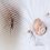 درمان و روش پیشگیری از نیش حشرات در بچه‌ها