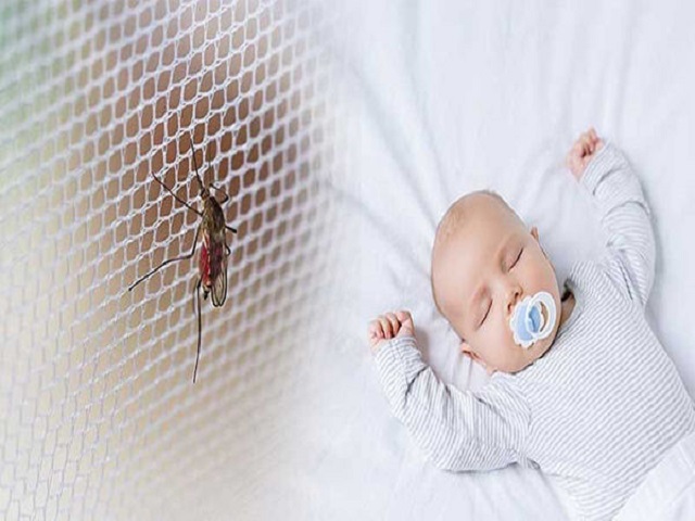 درمان و روش پیشگیری از نیش حشرات در بچه‌ها